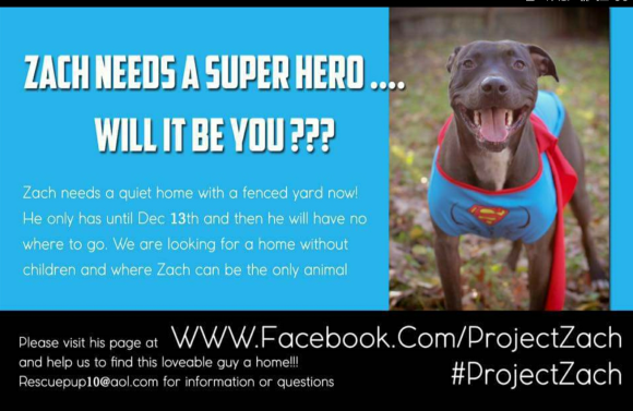 SmartSelectImage_2017-07-08-12-53-26